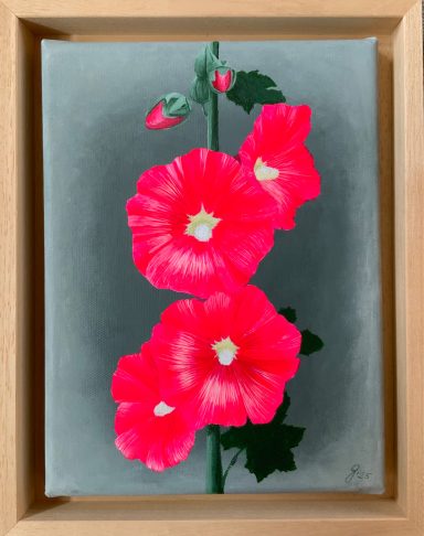 Stockrose in Neonpink